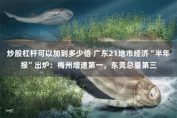 炒股杠杆可以加到多少倍 广东21地市经济“半年报”出炉：梅州增速第一，东莞总量第三