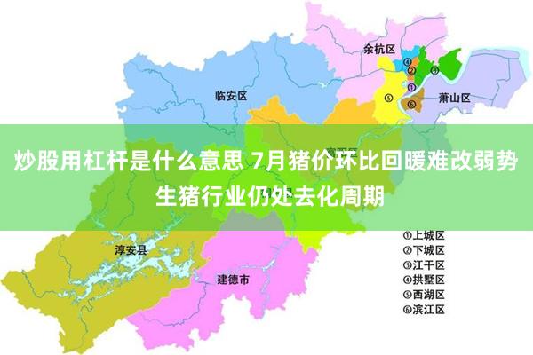 炒股用杠杆是什么意思 7月猪价环比回暖难改弱势 生猪行业仍处去化周期