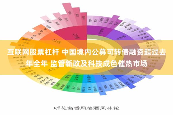 互联网股票杠杆 中国境内公募可转债融资超过去年全年 监管新政及科技成色催热市场