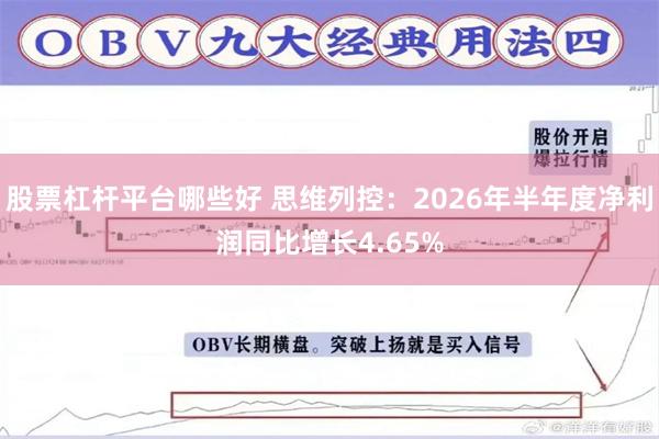 股票杠杆平台哪些好 思维列控：2026年半年度净利润同比增长4.65%