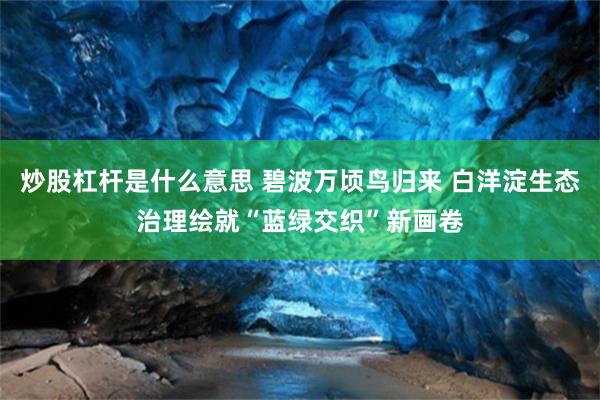炒股杠杆是什么意思 碧波万顷鸟归来 白洋淀生态治理绘就“蓝绿交织”新画卷