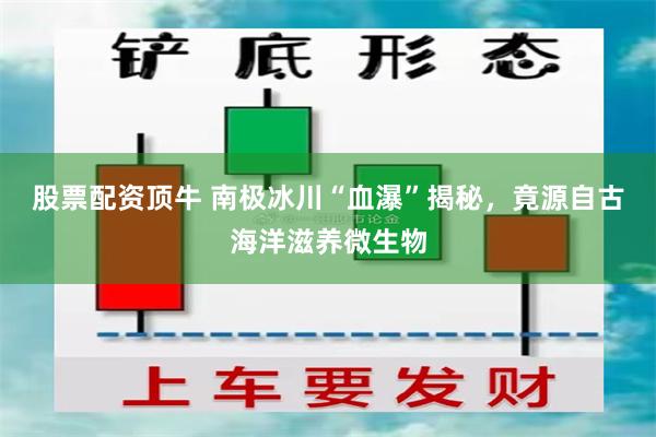 股票配资顶牛 南极冰川“血瀑”揭秘，竟源自古海洋滋养微生物