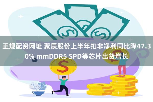 正规配资网址 聚辰股份上半年扣非净利同比降47.30% mmDDR5 SPD等芯片出货增长