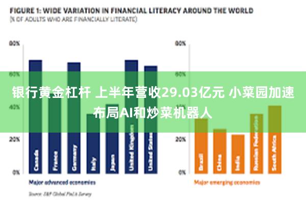 银行黄金杠杆 上半年营收29.03亿元 小菜园加速布局AI和炒菜机器人