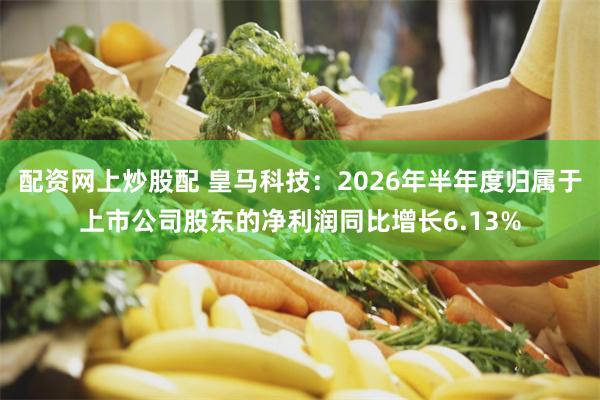 配资网上炒股配 皇马科技：2026年半年度归属于上市公司股东的净利润同比增长6.13%