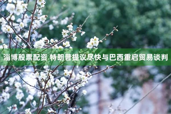 淄博股票配资 特朗普提议尽快与巴西重启贸易谈判