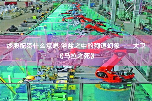 炒股配资什么意思 浴盆之中的殉道幻象 —— 大卫《马拉之死》