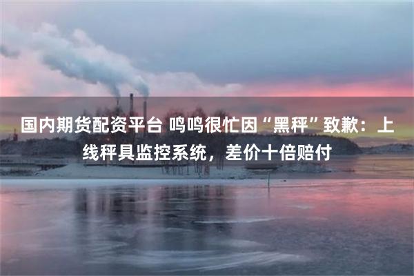 国内期货配资平台 鸣鸣很忙因“黑秤”致歉:上线秤具监控系统,差价十倍赔付