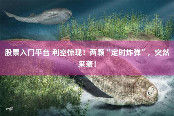 股票入门平台 利空惊现！两颗“定时炸弹”，突然来袭！