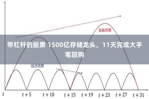 带杠杆的股票 1500亿存储龙头，11天完成大手笔回购