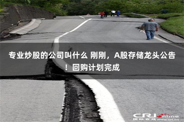 专业炒股的公司叫什么 刚刚，A股存储龙头公告！回购计划完成