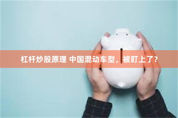 杠杆炒股原理 中国混动车型，被盯上了？