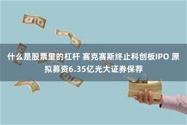 什么是股票里的杠杆 赛克赛斯终止科创板IPO 原拟募资6.35亿光大证券保荐