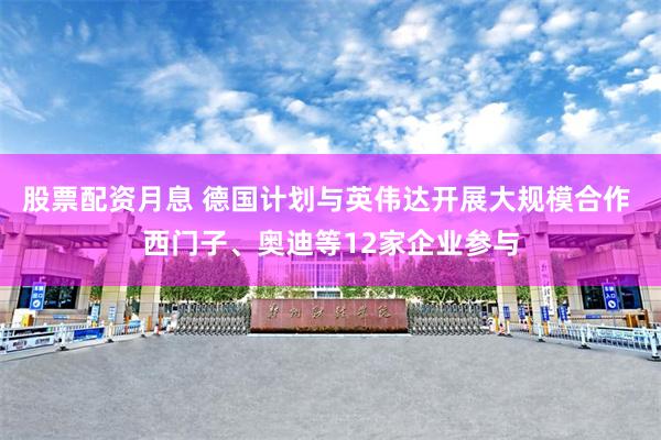 股票配资月息 德国计划与英伟达开展大规模合作 西门子、奥迪等12家企业参与