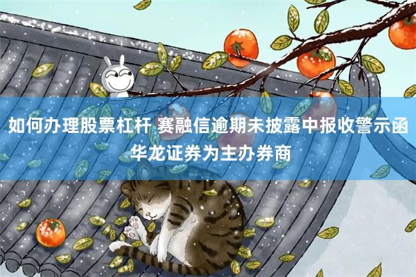 如何办理股票杠杆 赛融信逾期未披露中报收警示函 华龙证券为主办券商