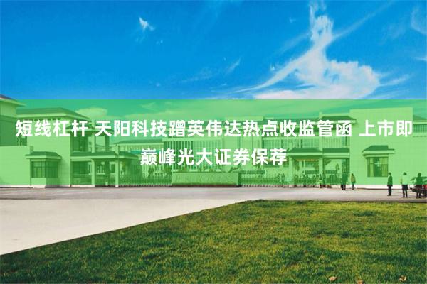 短线杠杆 天阳科技蹭英伟达热点收监管函 上市即巅峰光大证券保荐