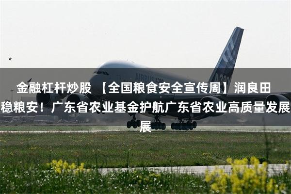 金融杠杆炒股 【全国粮食安全宣传周】润良田 稳粮安!广东省农业基金护航广东省农业高质量发展