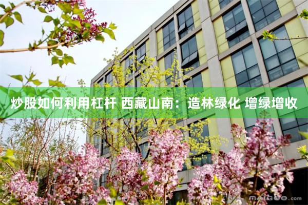 炒股如何利用杠杆 西藏山南：造林绿化 增绿增收